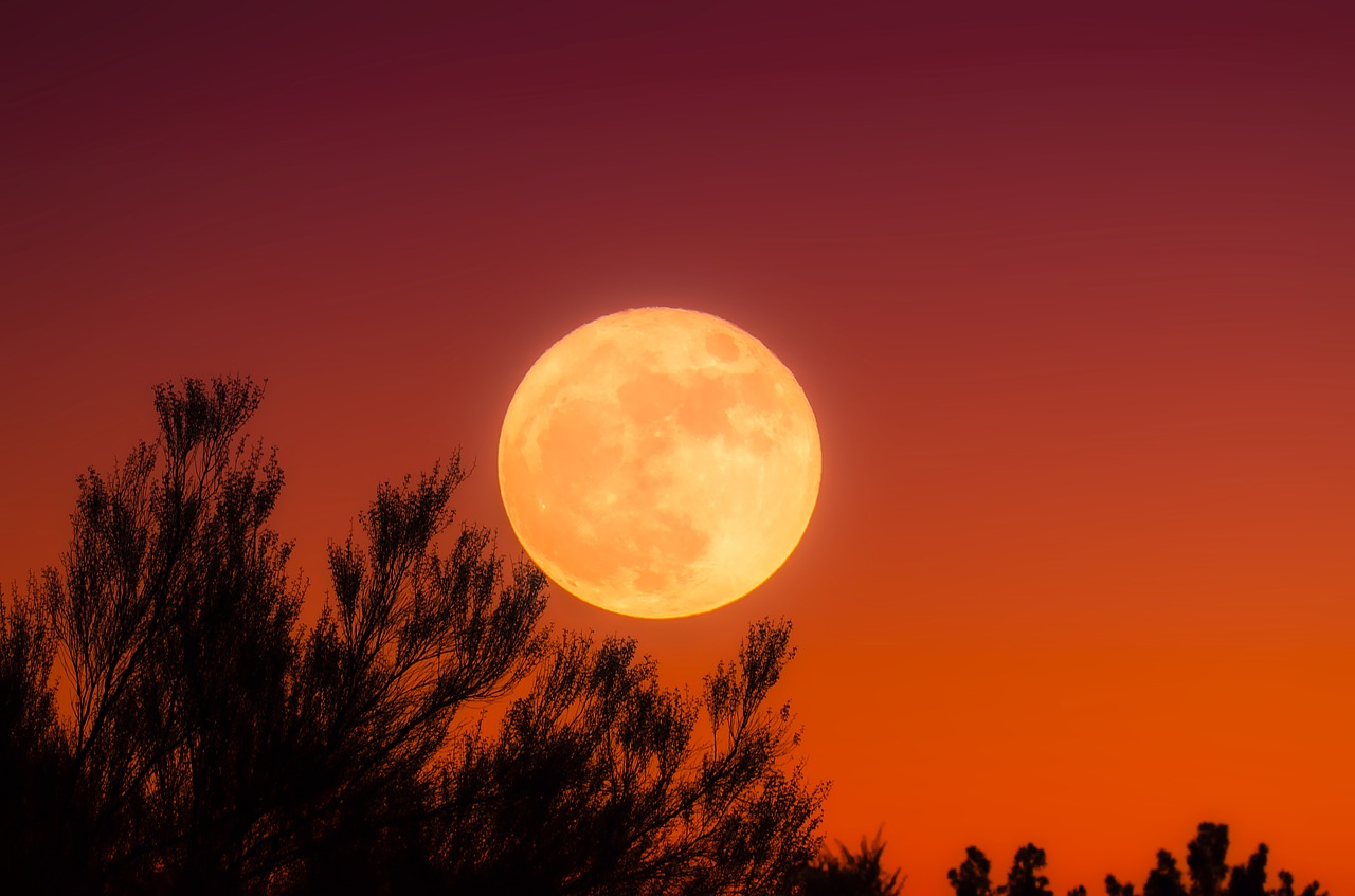 harvest-moon-1828012_1280.jpg